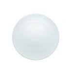 TAC Speiseteller 28 cm Rosenthal