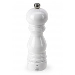 Peugeot Salzmühle Paris W