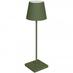 Akkuleuchte tannengrün