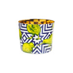 Sip of Gold Beauftiful Creatures The Kiwis Sieger by Fürstenberg