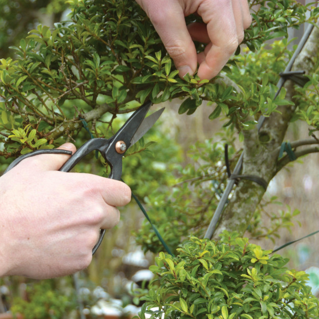 Haushalts- und Kräuterschere Haushalts- und Kräuterschere