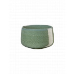 ASA Matchaschale moribana matsu shiny