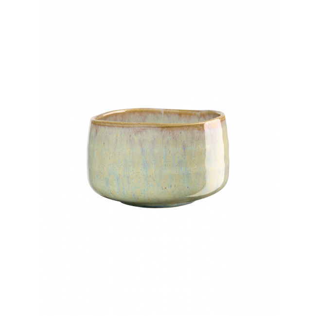 ASA MAtchaschale ishi shiny ASA