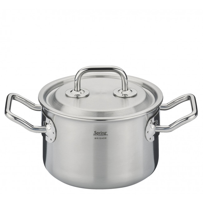 Brigade PREMIUM Topf 14 cm von Spring